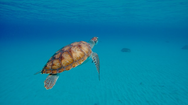 best islands in the Caribbean