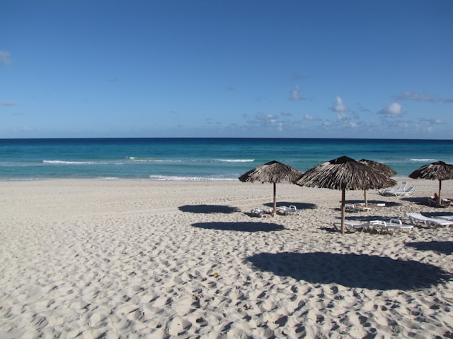 things to do in havana cuba