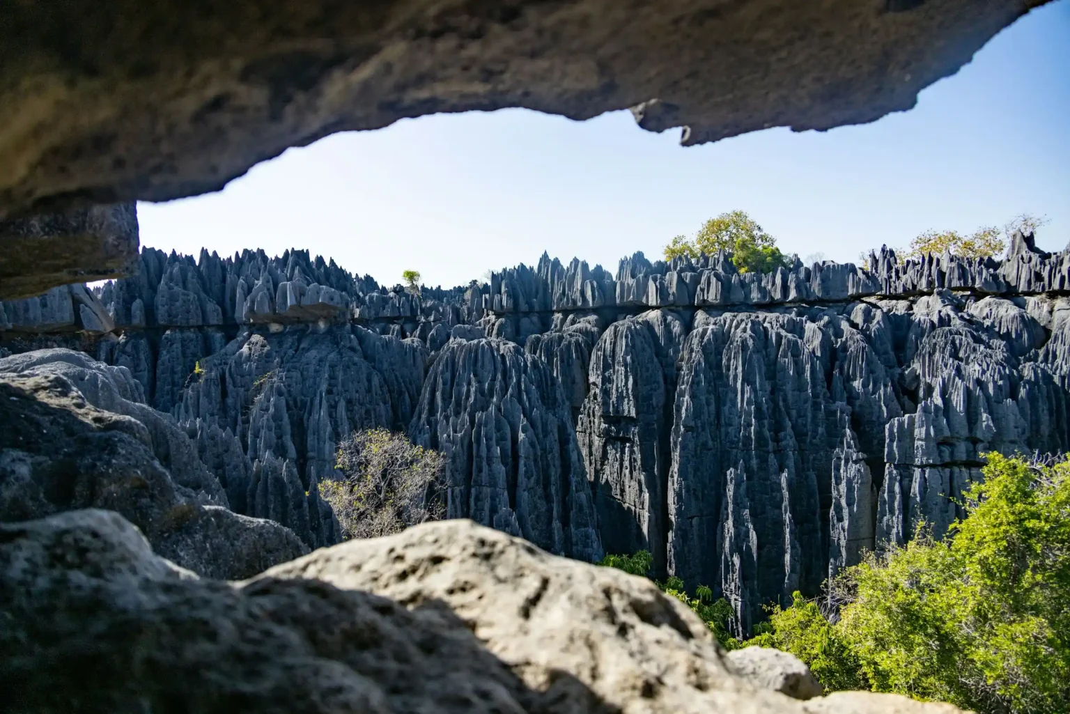 Sharp limestone pinnacles of Tsingy de Bemaraha, Madagascar