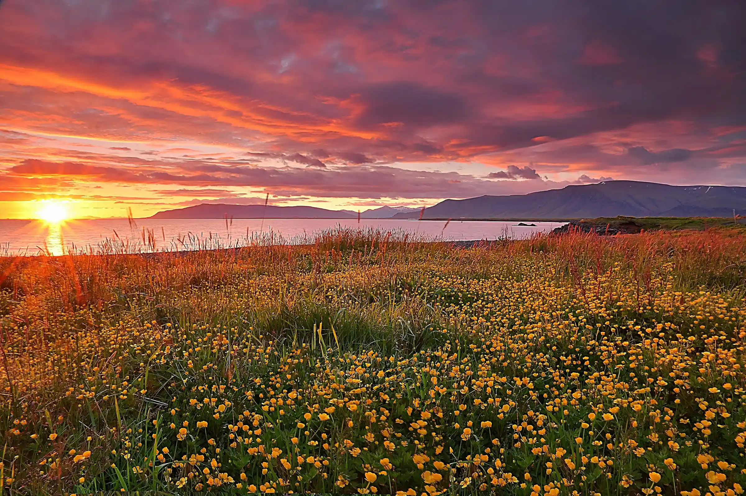 Iceland landscape in June with midnight sun and green valleys