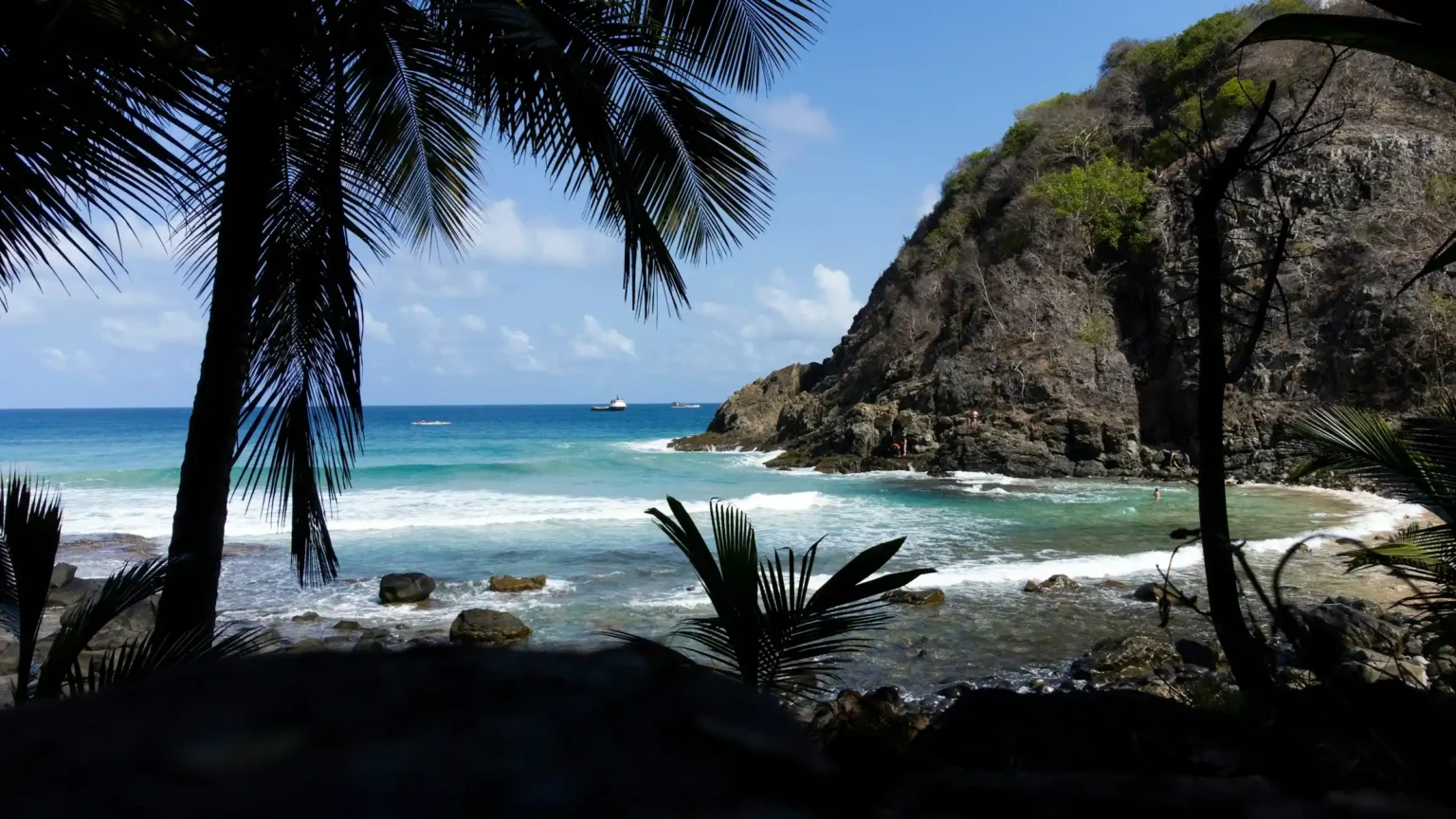 A palm-framed cove with turquoise water and a rocky headland, Fernando de Noronha, Brazil