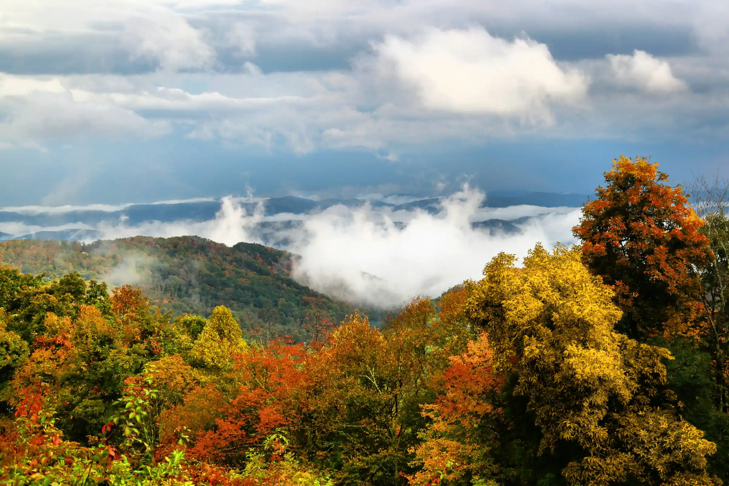 Fall foliage and mist drifting through mountain ridges in Great Smoky Mountains National Park