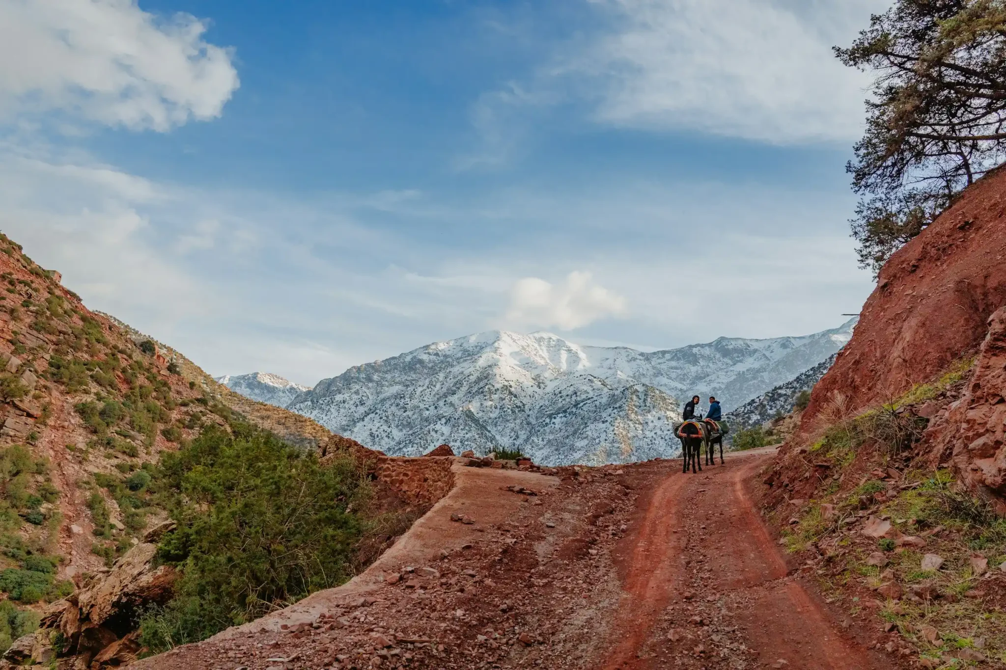 Ourika Valley river with terraced gardens, red clay houses, and Atlas Mountain slopes