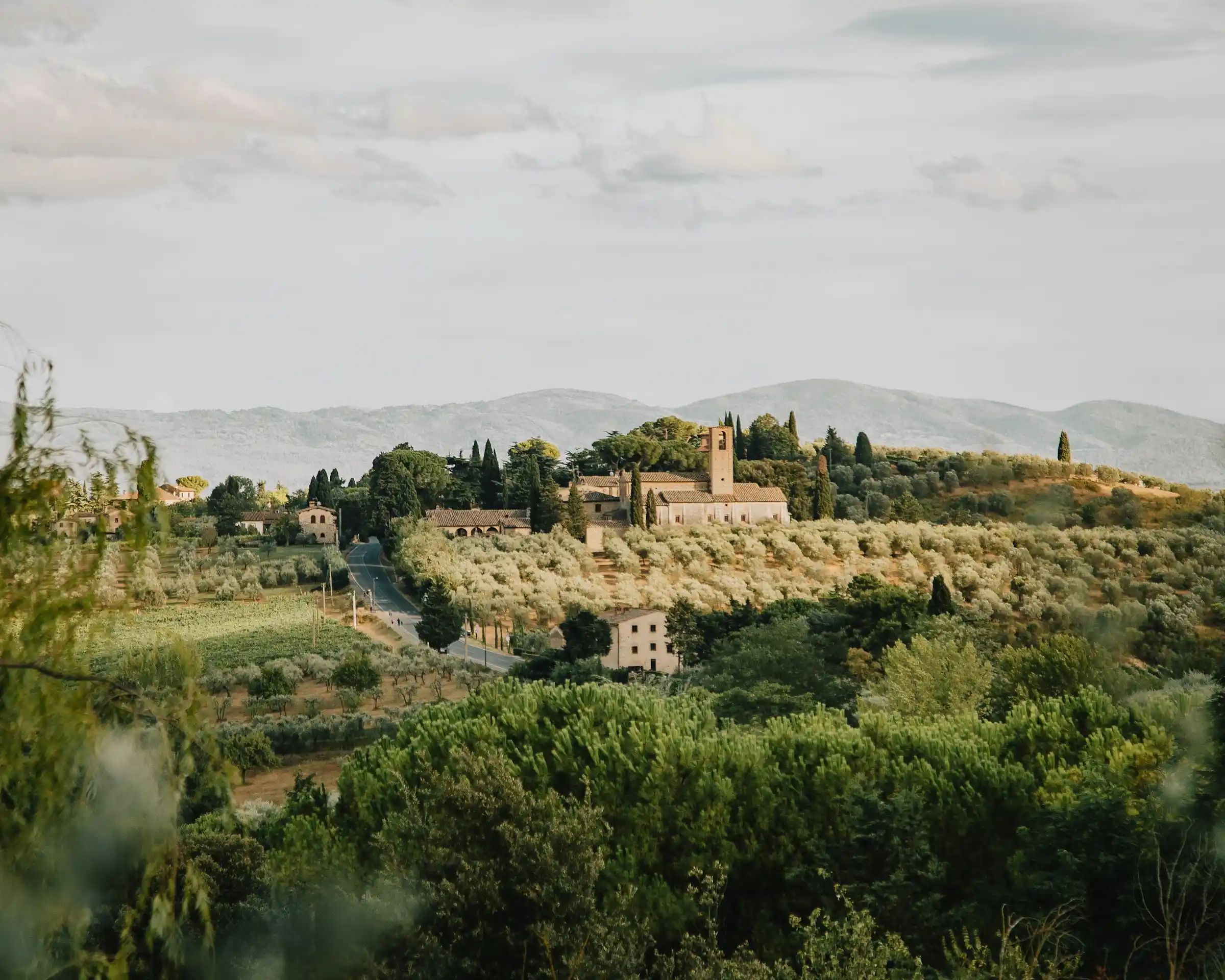 Tuscan countryside with rolling hills and olive groves near San Gimignano