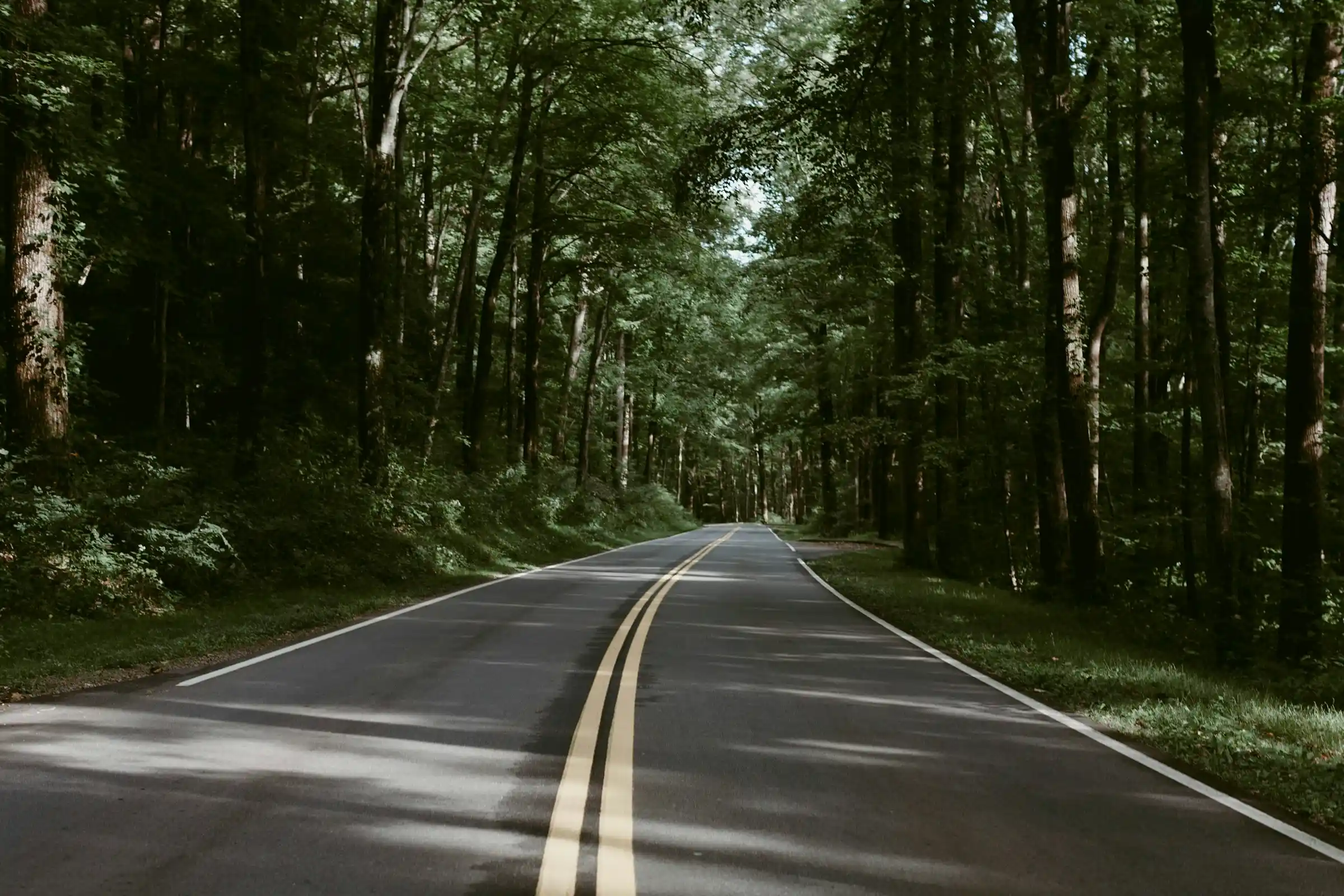 Empty two-lane road curving through dense green forest in the Great Smoky Mountains near Gatlinburg
