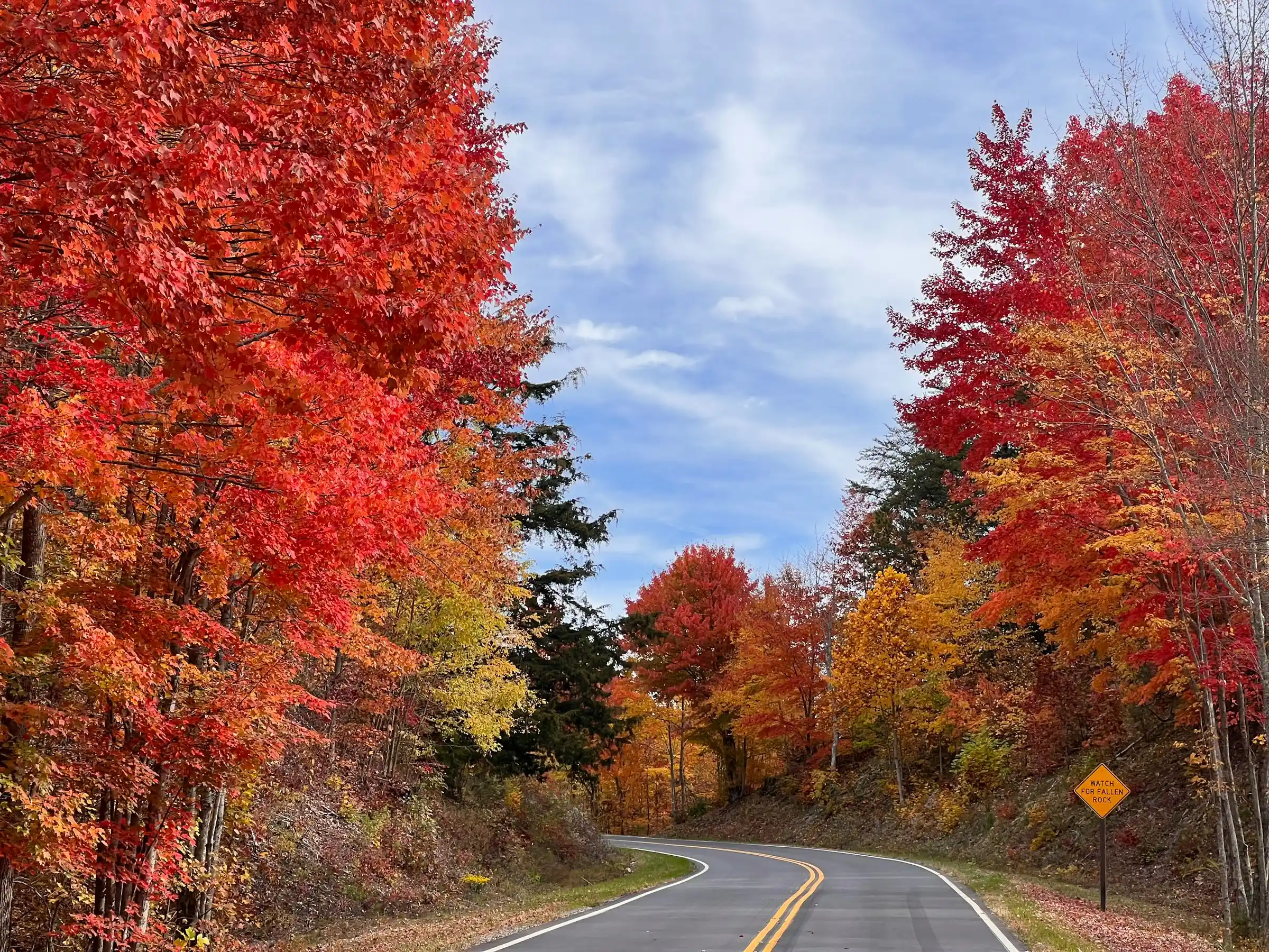 Winding mountain road framed by bright red and orange fall foliage near Gatlinburg, Tennessee