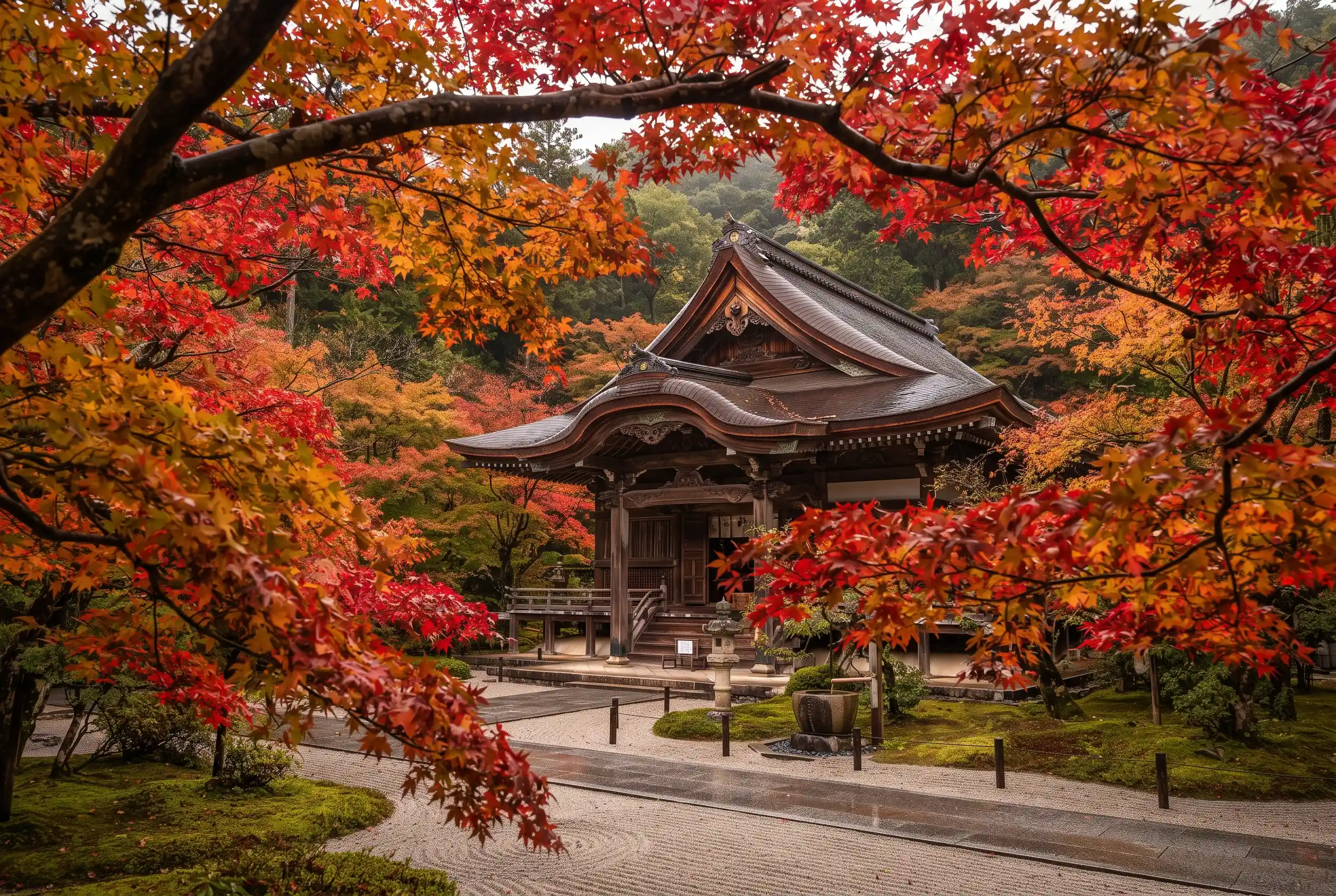 Autumn maple leaves framing a temple in Japan in November