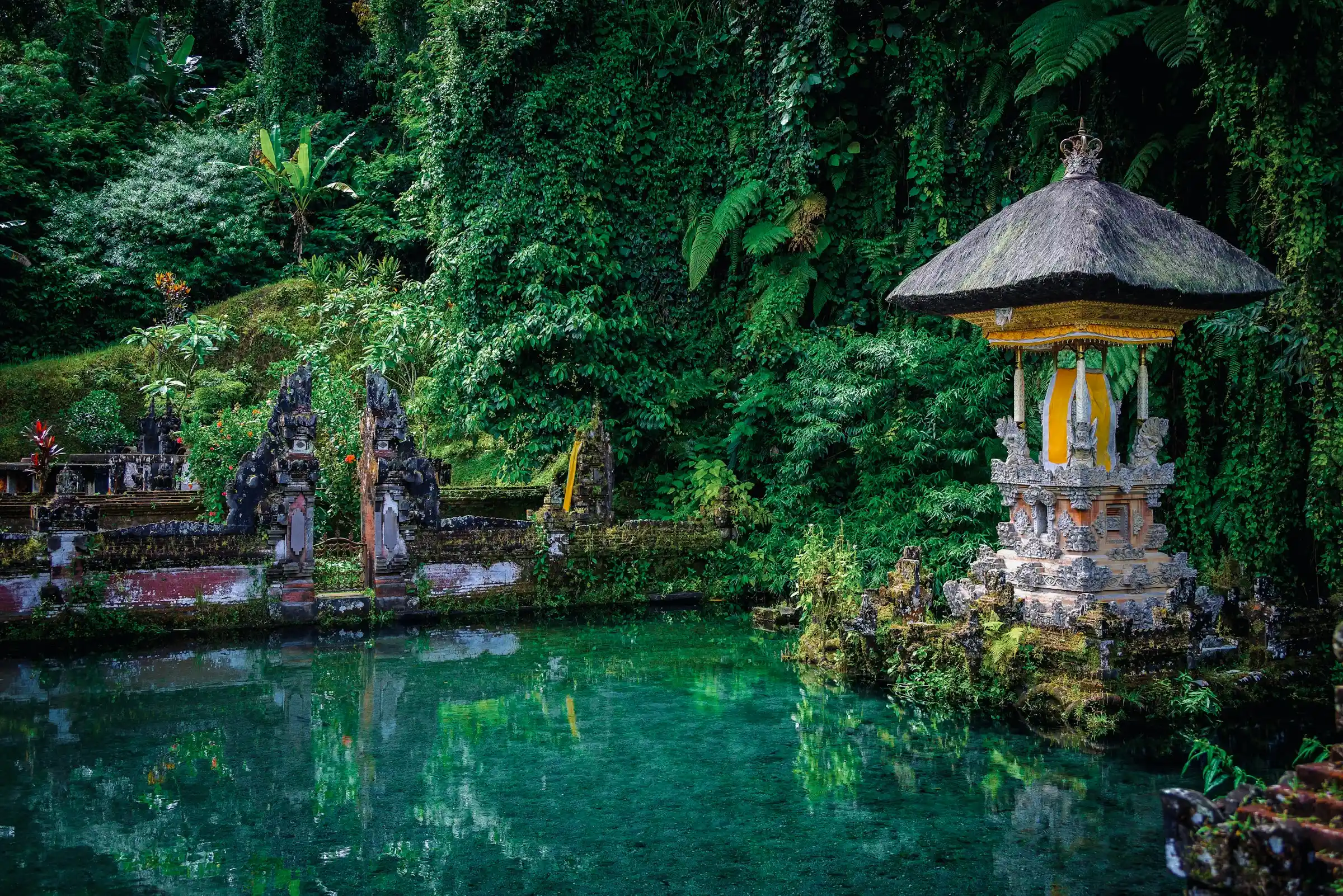 Spring-fed purification pools at Gunung Kawi Sebatu, Bali