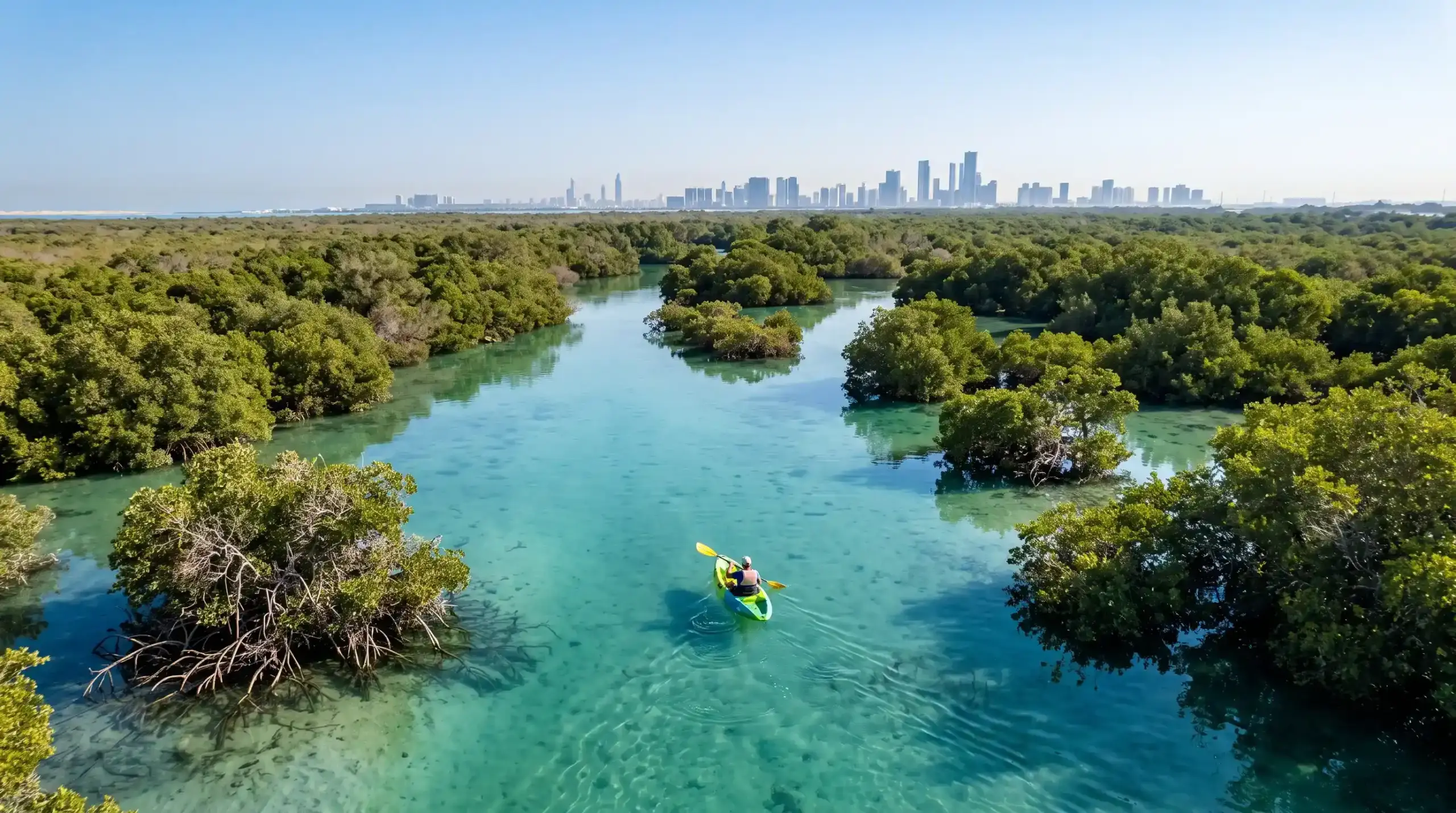 Kayaker paddling through Mangrove National Park in Abu Dhabi