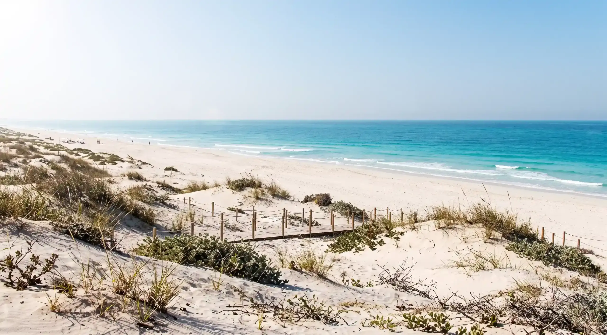 Pristine white sand dune beach at Saadiyat Island in Abu Dhabi