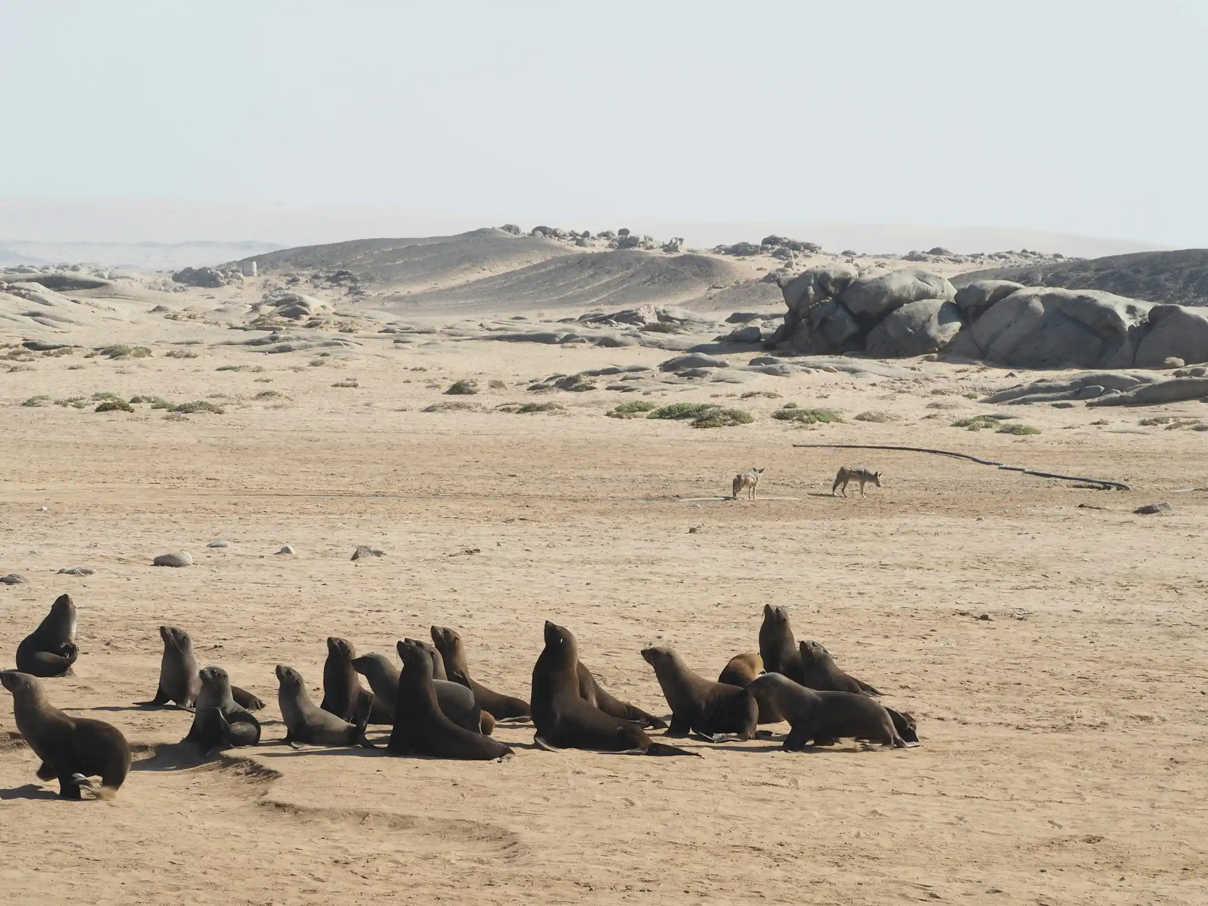 A rusting shipwreck half buried in the sand on the Skeleton Coast of Namibia